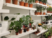 Satılır 1 otaqlı 38 m2 obyekt Nəriman Nərimanov m.