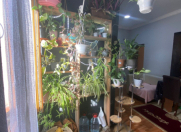 Satılır 3 otaqlı 80 m2 həyət evi Y.Ramana