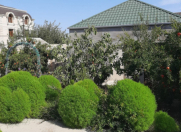 Satılır 3 otaqlı 100 m2 həyət evi Zığ