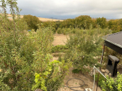 Satılır 24 sot torpaq Şamaxı