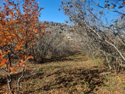 Satılır 52 sot torpaq Quba