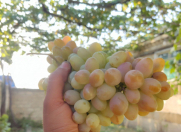 Satılır 5 otaqlı 115 m2 həyət evi Quba