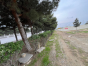 Satılır 10 sot torpaq Saray