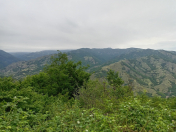 Satılır 100 sot torpaq Qəbələ