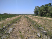 Satılır 31 sot torpaq Xaçmaz