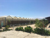 Satılır 7 otaqlı 1500 m2 obyekt Türkan