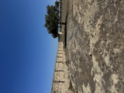 Satılır 100 sot torpaq Şüvəlan