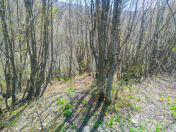 Satılır 2 otaqlı 64 m2 bağ evi İsmayıllı