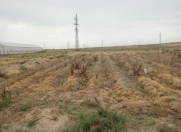 Satılır 130 sot torpaq Məhəmmədli