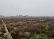 Satılır 164 sot torpaq Binə