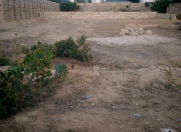 Satılır 5 sot torpaq Albalı