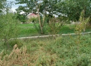 Satılır 24 sot torpaq Binə