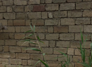 Satılır 2 otaqlı 50 m2 həyət evi Kürdəxanı