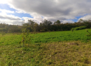 Satılır 16 sot torpaq Qusar