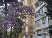 Satılır 2 otaqlı 60 m2 köhnə tikili Neapol dairəsi