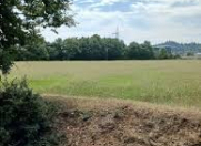 Satılır 100 sot torpaq İmişli