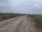 Satılır 22000 sot torpaq Salyan