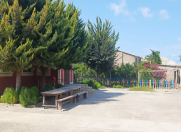 Satılır 6 sot torpaq Şağan