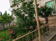 İcarəyə verilir 4 otaqlı 250 m2 yeni tikili Naxçıvan