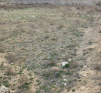 Satılır 8 sot torpaq Biləsuvar