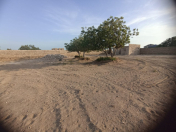 Satılır 18 sot torpaq Türkan