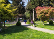 Satılır 2 otaqlı 41 m2 köhnə tikili 8 mkr