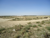 Satılır 1 sot torpaq Məhəmmədli