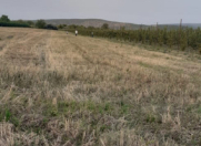 Satılır 70 sot torpaq Quba