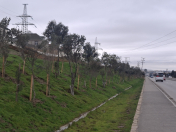 Satılır 6 otaqlı 120 m2 həyət evi Hökməli