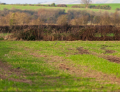 Satılır 3.5 sot torpaq Qusar