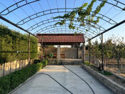 Satılır 6 otaqlı 400 m2 bağ evi Albalı