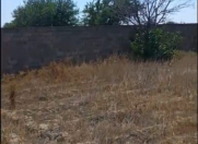 Satılır 4 sot torpaq Maştağa