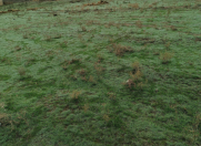 Satılır 8 sot torpaq Hökməli