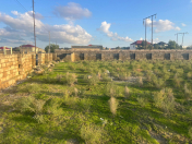 Satılır 10 sot torpaq Şağan