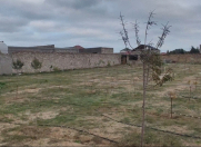 Satılır 3 otaqlı 120 m2 bağ evi Qala