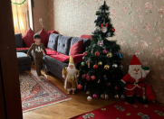 Satılır 2 otaqlı 55 m2 köhnə tikili Y.Günəşli