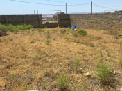 Satılır 8 sot torpaq Novxanı