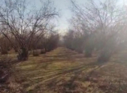 Satılır 1 sot torpaq Qəbələ