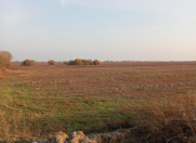 Satılır 1428 sot torpaq Hacıqabul