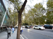 İcarəyə verilir 10 otaqlı 310 m2 obyekt 28 May m.