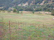 Satılır 40 sot torpaq Lerik