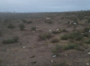 Satılır 27 sot torpaq Mehdiabad