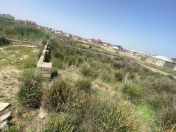 Satılır 10 sot torpaq Sumqayıt