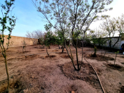 Satılır 12 sot torpaq Şüvəlan