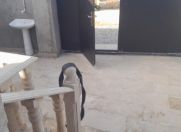 Satılır 3 otaqlı 65 m2 həyət evi Mərdəkan