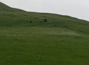 Satılır 106 sot torpaq Gədəbəy