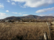 Satılır 6 sot torpaq Qəbələ