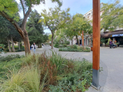 Satılır 2 otaqlı 36 m2 köhnə tikili Molokan bağı