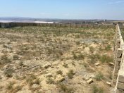 Satılır 20 sot torpaq Novxanı