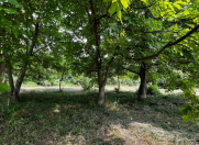 Satılır 6 sot torpaq Həzi Aslanov